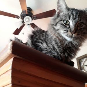 Meet your Posher, Luisa